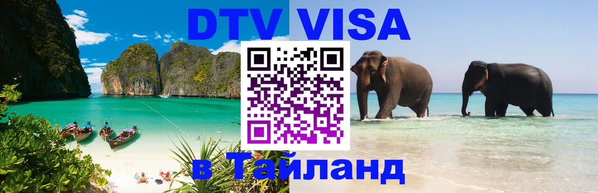 Сколько стоит DTV виза — актуальные цены, оформление даже без документов - Ангарск 